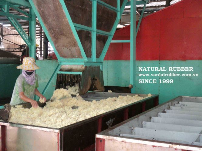 VAN LOI Co., Ltd. SINCE 1999 SVR 3L ; SVR 10 ; RSS3; Compound SVR 3L